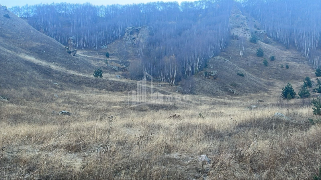 Продается Земля Казбеги Мцхета   Мтианети