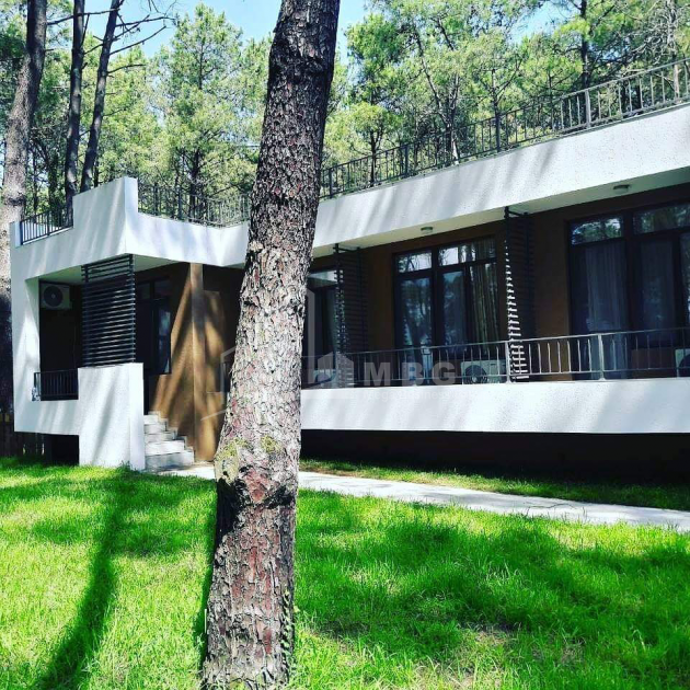 For Sale House - Villa, in Daba Shekvetili