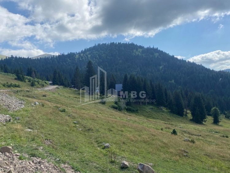 For Sale Country Land, in Khulo