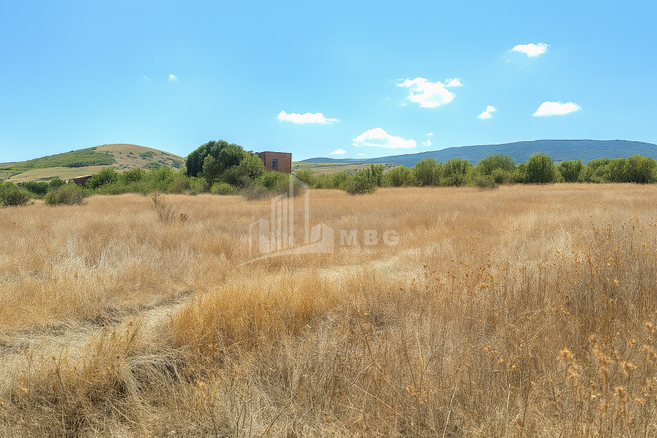 For Sale Land Telatgori Kaspi Shida Kartli