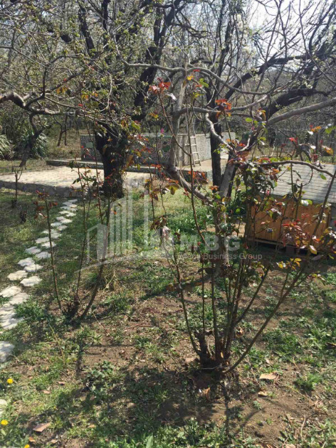 For Rent House - Villa, in Village Dighomi