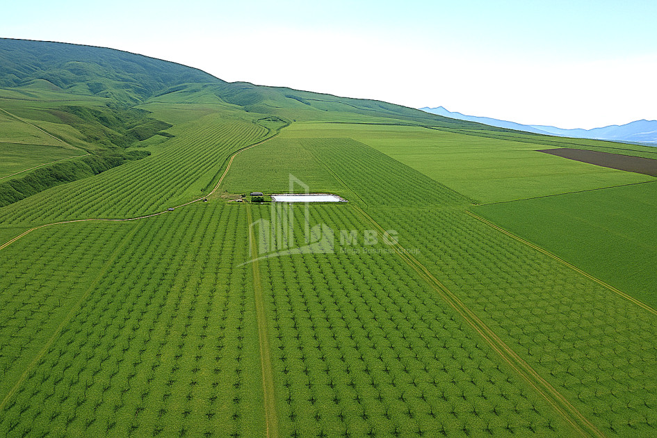 For Sale Land Does Kaspi Shida Kartli