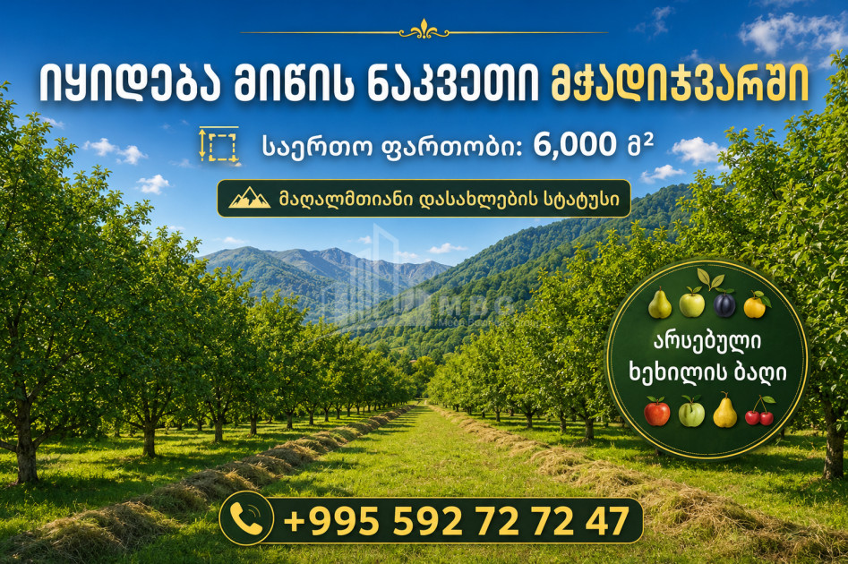 For Sale Country Land In Mchadijvari village, Dusheti