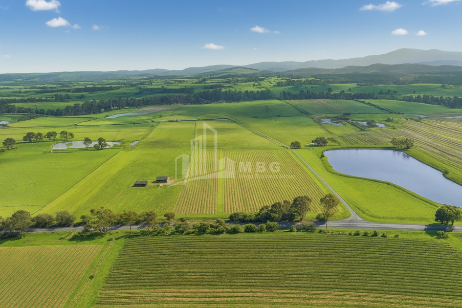 For Sale Land Kakheti