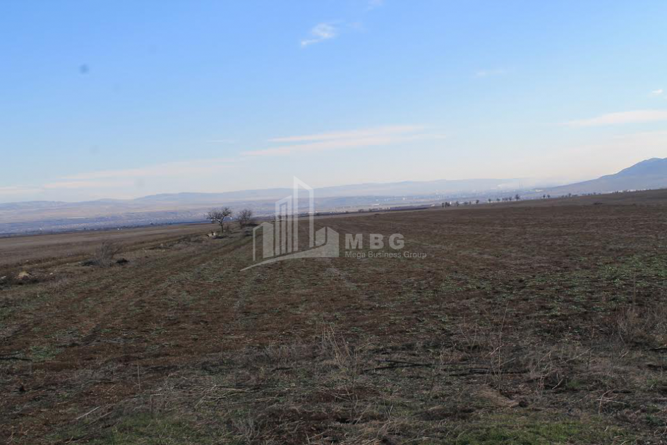 For Sale Orchards Land, in Kvemo Teleti