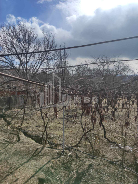 For Sale House - Villa, in Abastumani