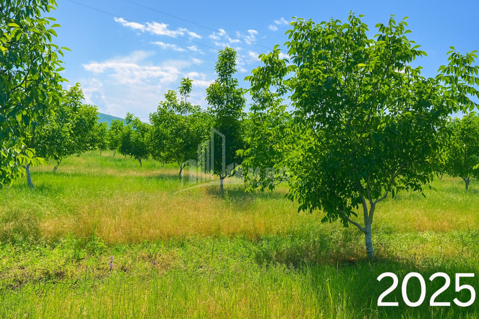 For Sale Land Does Kaspi Shida Kartli