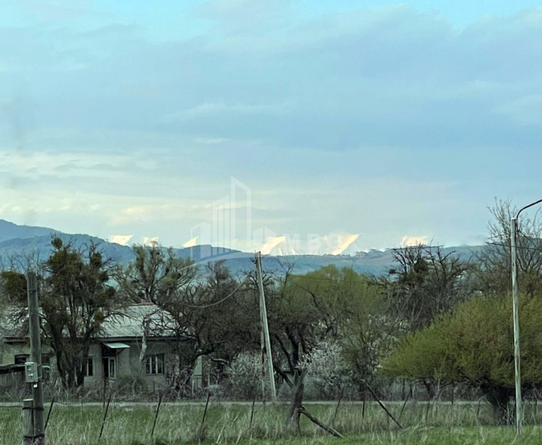 იყიდება მიწის ნაკვეთი ღულელები თიანეთი მცხეთა   მთიანეთი