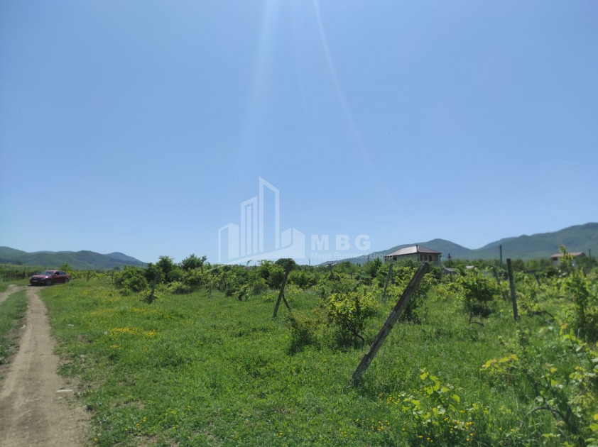 For Sale Country Land, in fence