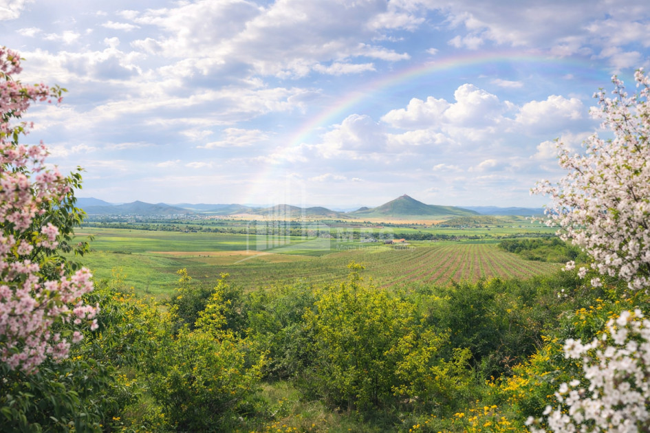 For Sale Land Bolnisi Kvemo Kartli