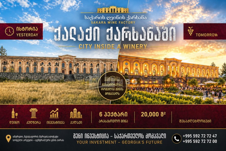 For Sale Chateau / Wine factory Commercial In the Village Argveta, Zestaponi