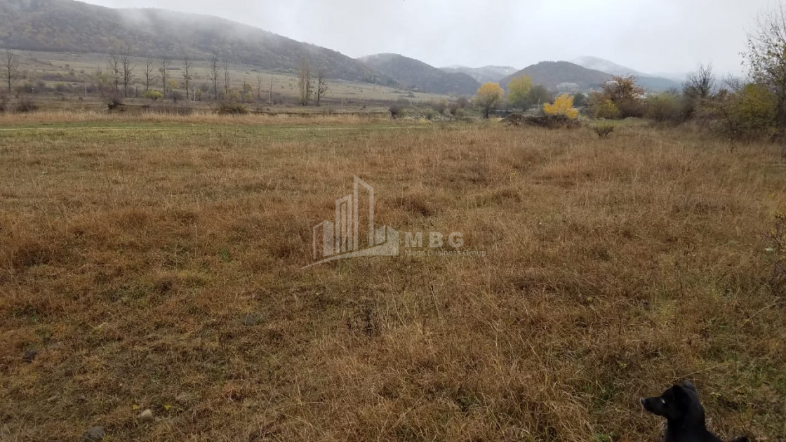 For Sale Country Land, in Tsinamdzgvriantkari