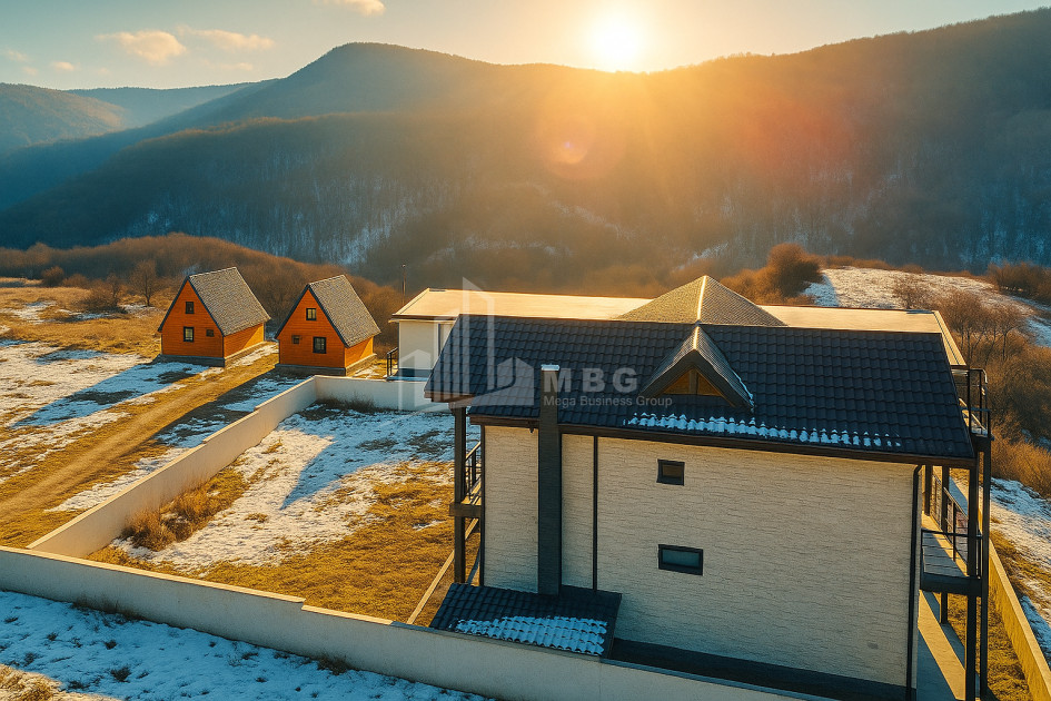 For Sale Commercial Manglisi Tetritskaro Kvemo Kartli