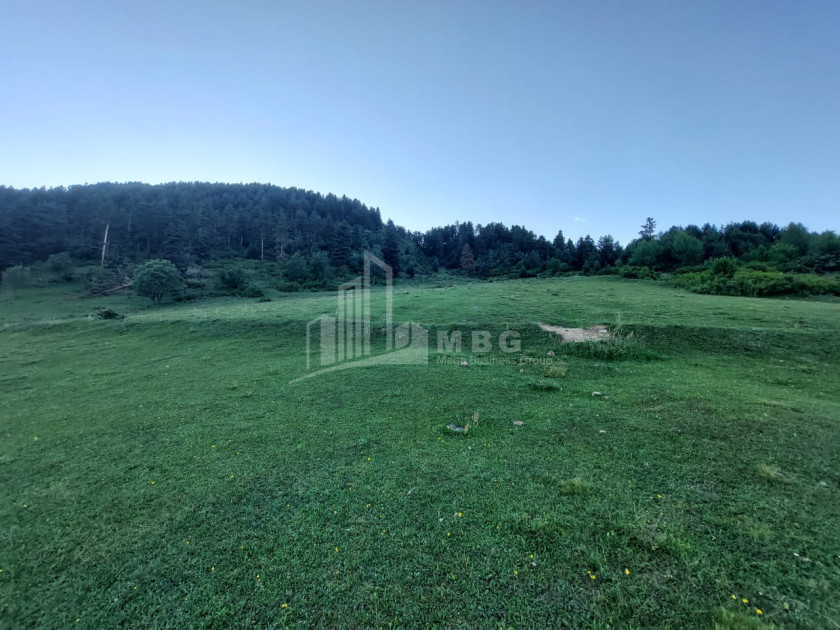 For Sale Land Tsvirmi Mestia Samegrelo   Upper Svaneti