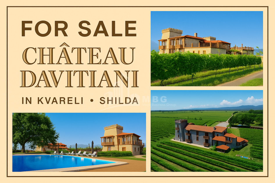 For Sale Commercial Kvareli City Kvareli Kakheti