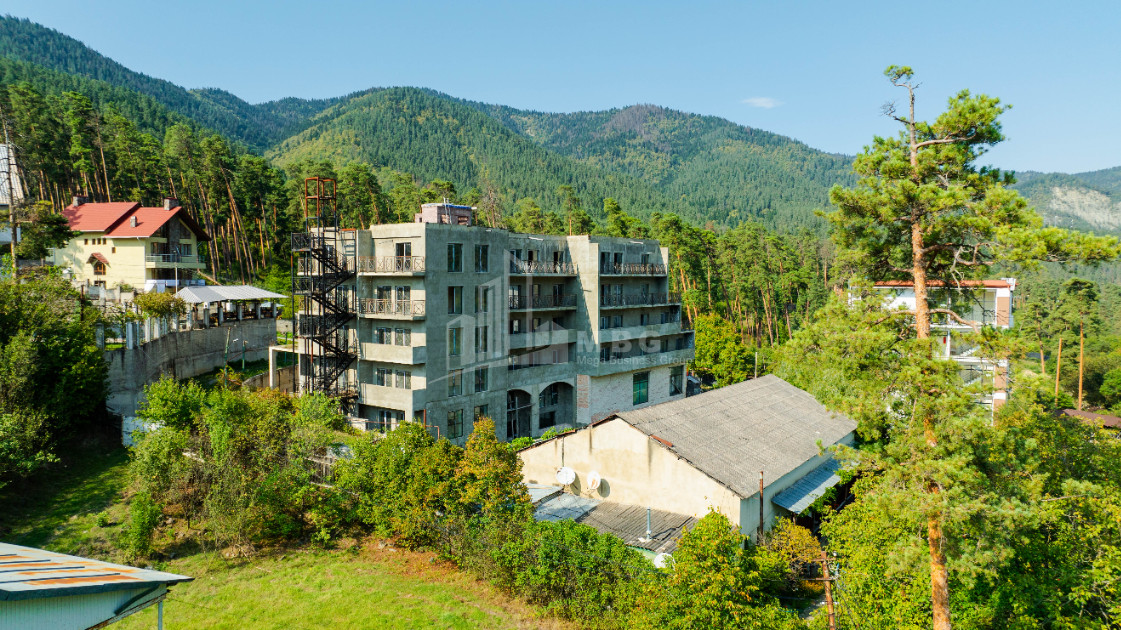 For Sale Commercial Likani Borjomi Samtskhe   Javakheti