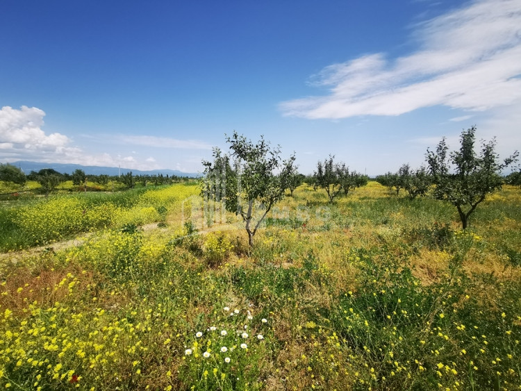 For Sale Land, Gori Municipality, Municipalities of Shida Kartli