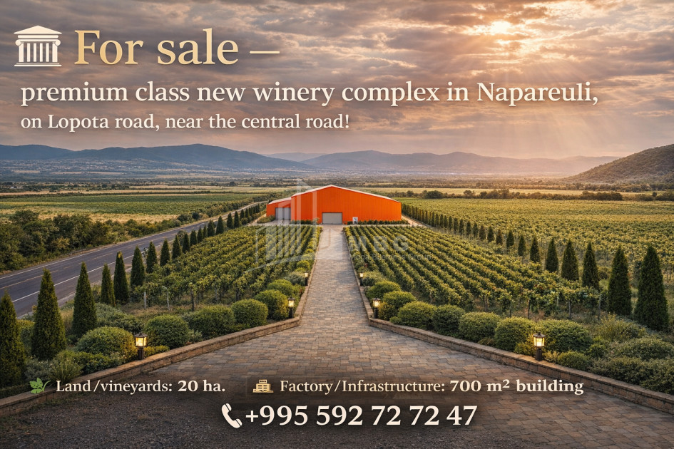 იყიდება მიწის ნაკვეთი ნაფარეული თელავი კახეთი