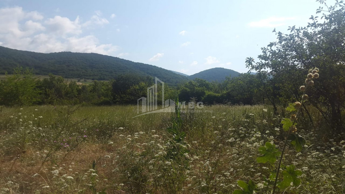 For Sale Country Land, in Tsinamdzgvriantkari