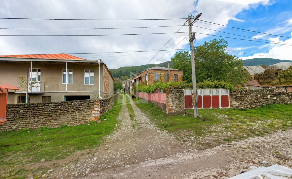 For Sale Old building House - Villa In Sagarejo