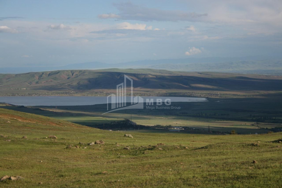 For Sale Land Tabakhmela Mtatsminda District Tbilisi