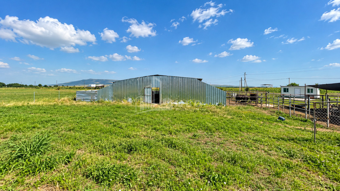 For Sale Production / warehousing space, Business yard Commercial In Koda, Tetritskaro