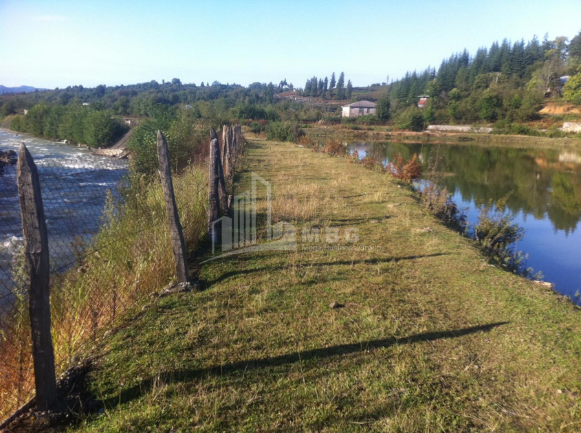 For Sale Land, Zeda Bakhvi, Ozurgeti Municipality, Municipalities of Guria