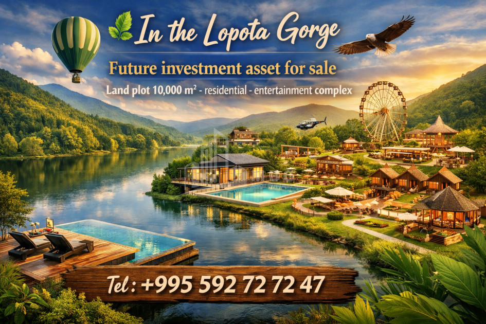 იყიდება ბიზნესი კომერციული ფართი თელავი კახეთი