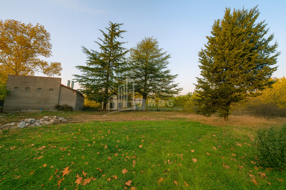 Продается Коммерческий Ахмета Кахети