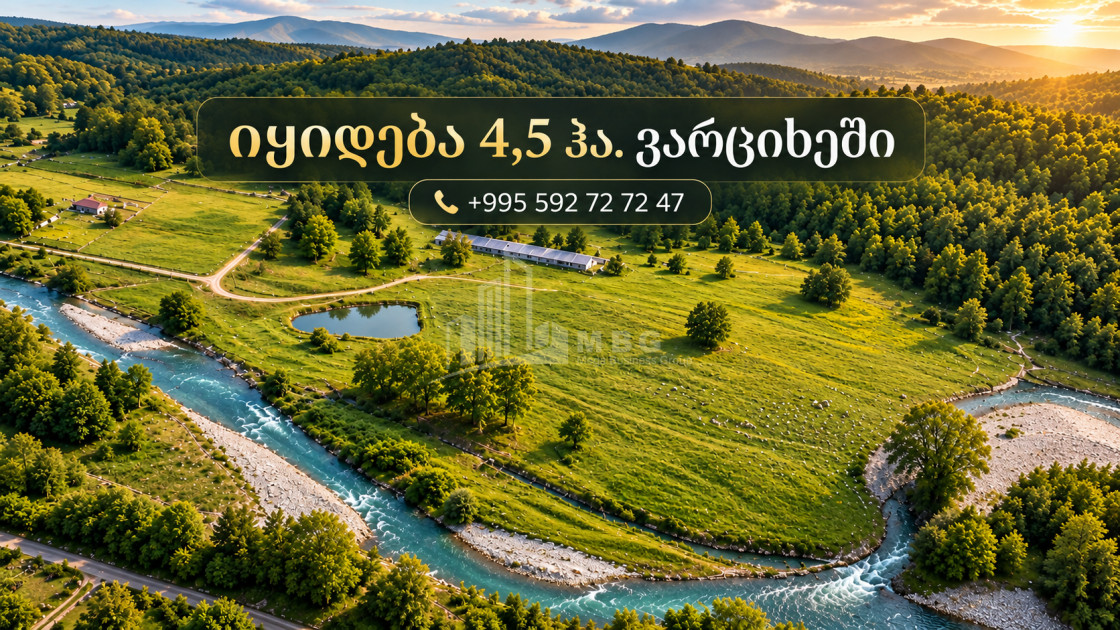 იყიდება სავენახე - საშატოე მიწის ნაკვეთი ვარციხჰესში, ბაღადათი