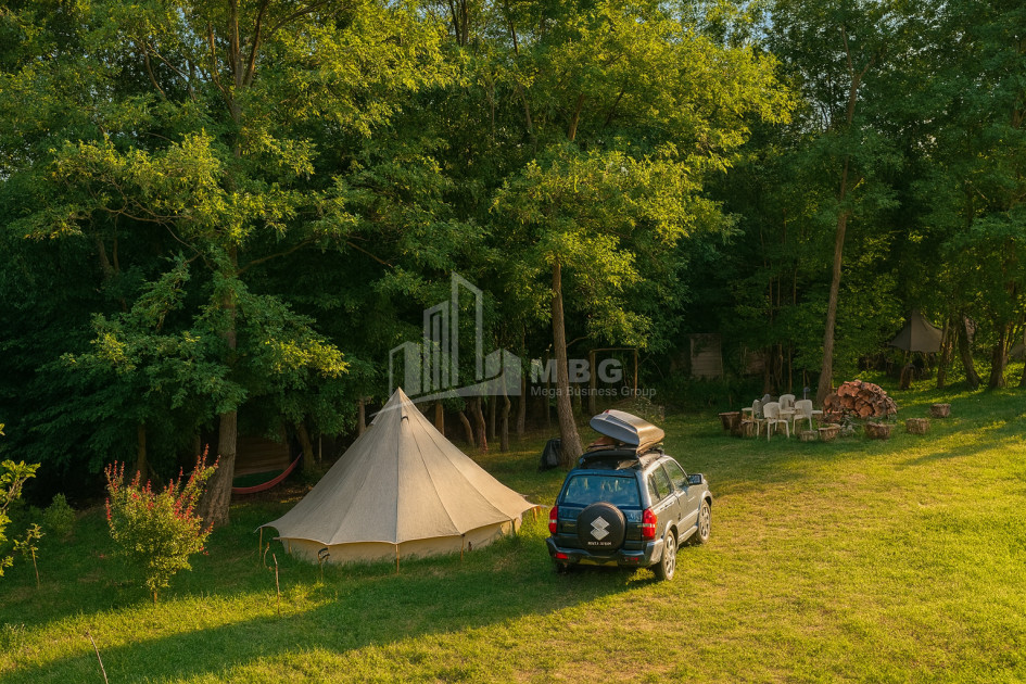 იყიდება ბიზნესი კომერციული ფართი თელავი კახეთი