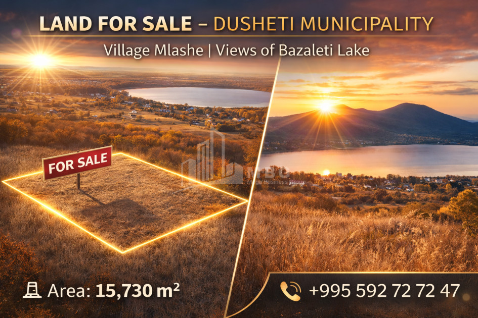For Sale Country Land, in Bazaleti