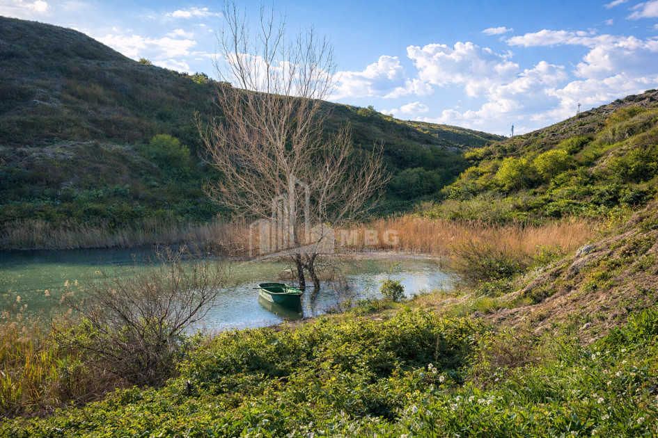 Продается Озеро - Рыболовное хозяйство Земля В Деревния Гачиани, Гардабани