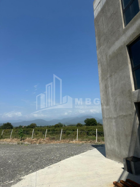 Продается Коммерческий Охио Ахмета Кахети