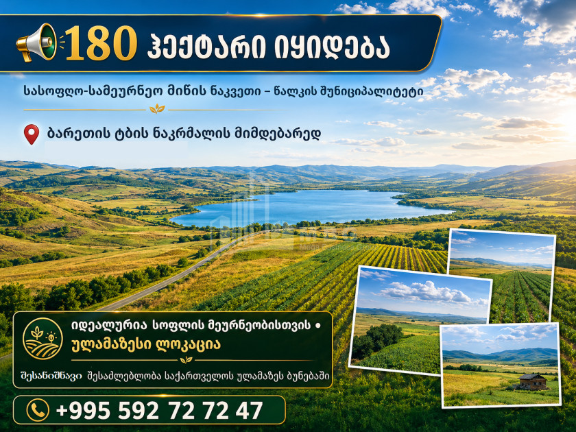 For Sale Agricultural Land In Tsalka