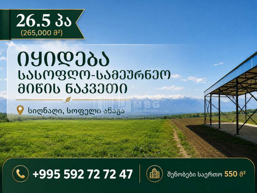 For Sale Orchards Land In Old Anaga, Signagi