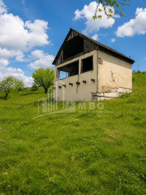 For Sale Country Land In Iltosa village, Dusheti