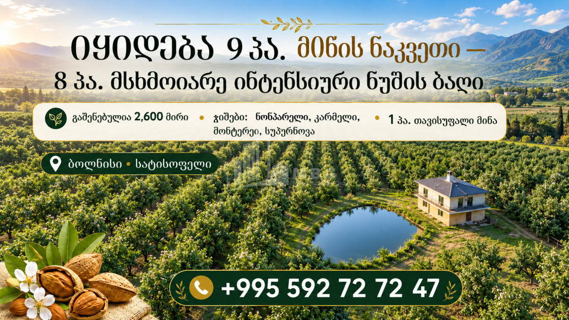 For Sale Walnut orchard Land In Bolnisi