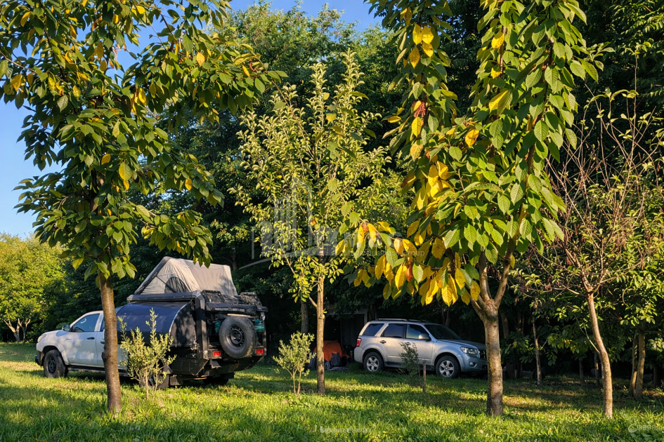 Business for sale Commercial Telavi Kakheti