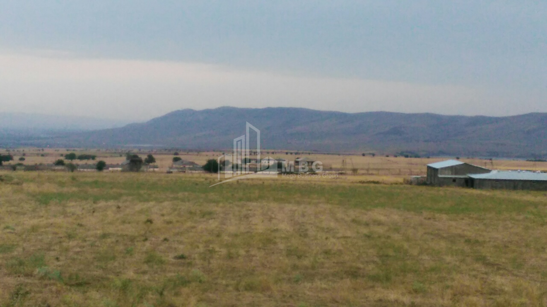 For Sale Orchards Land, in Kumisi