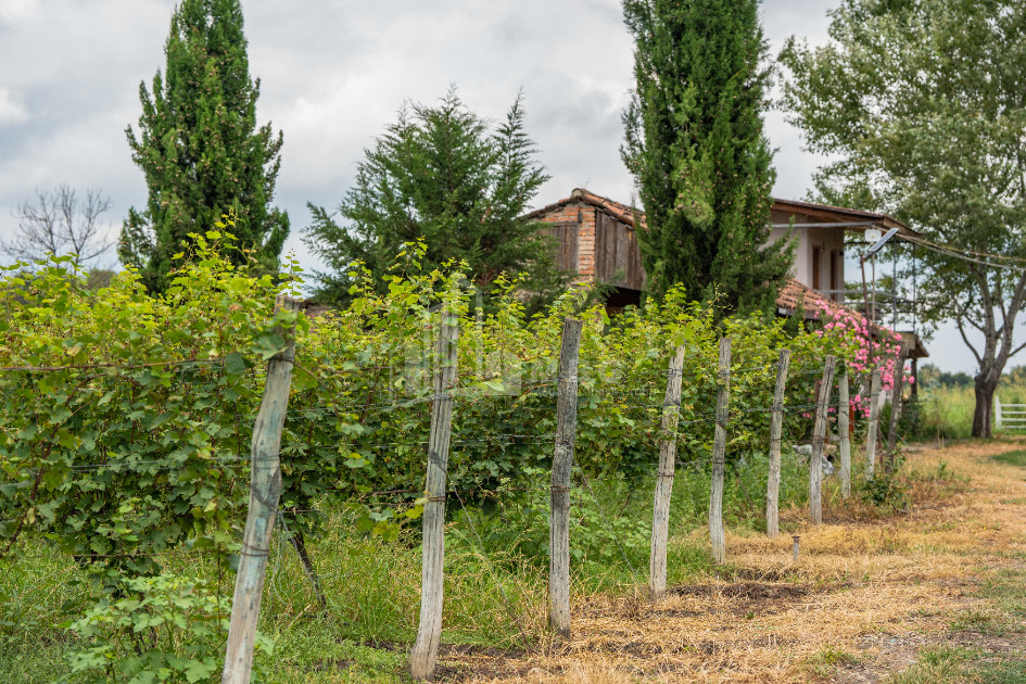 For Sale Land Kakheti