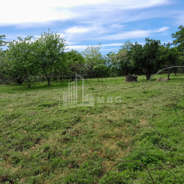 For Sale Land Grigoleti Lanchkhuti Municipalities of Guria