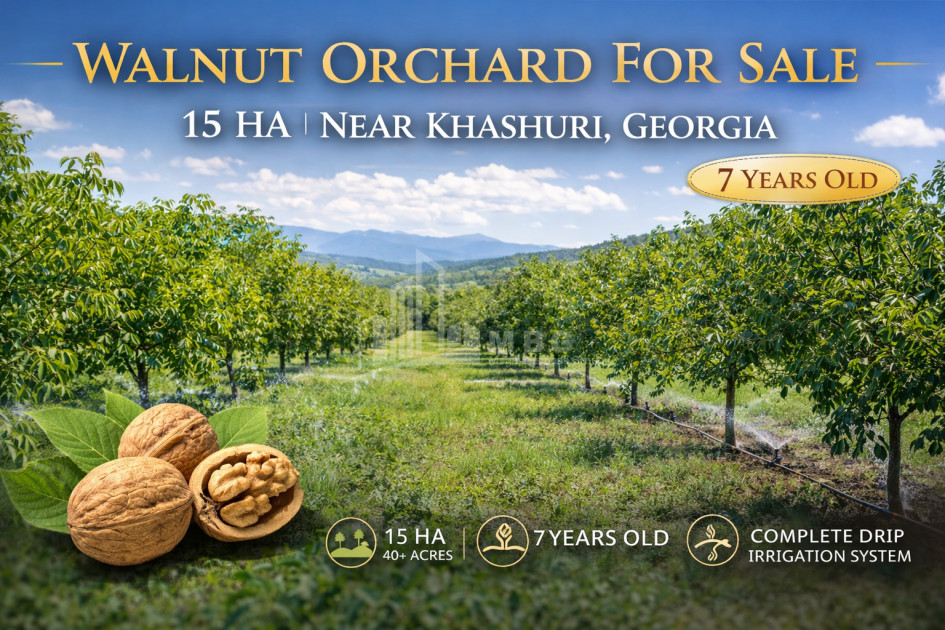 For Sale Land Khashuri Shida Kartli