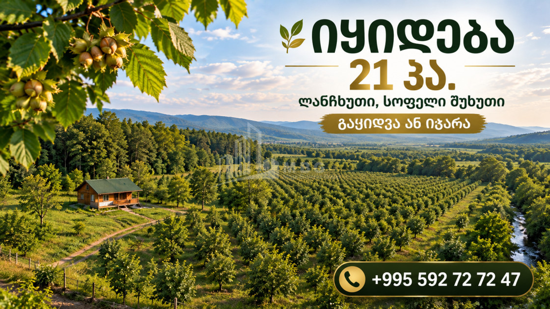 იყიდება ხეხილის ბაღი მიწის ნაკვეთი ქვემო შუხუთში, ლანჩხუთი