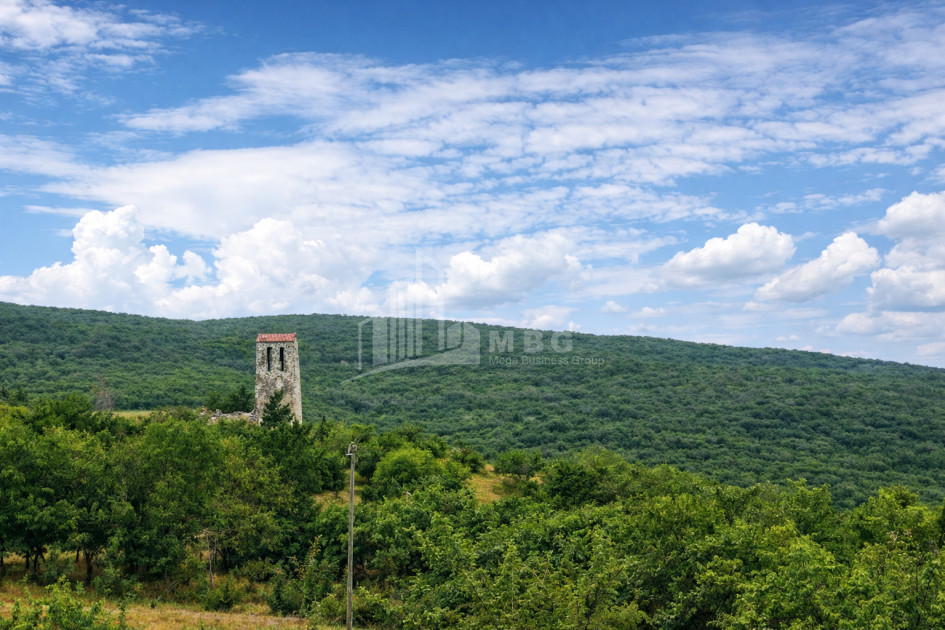 For Sale Country Land In Iltosa village, Dusheti