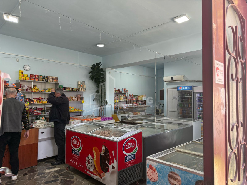 Business for sale Commercial Kvemo Ponichala Krtsanisi District Tbilisi