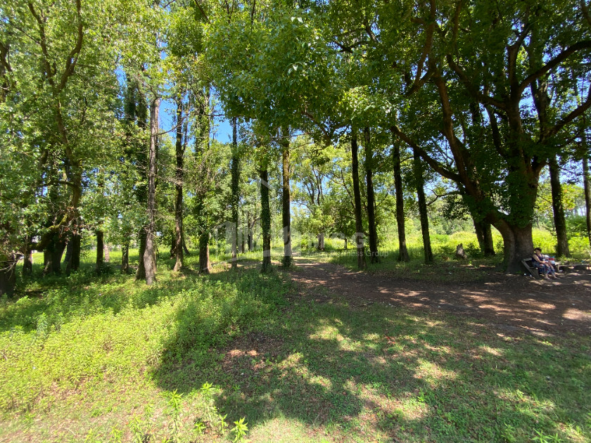 Продается Дачные Земля, в Город Поти