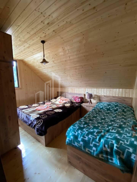 Daily Rent House - Villa, in Bakhmaro