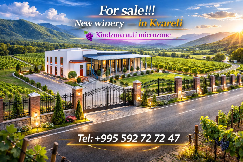 For Sale Chateau / Wine factory Commercial In Kvareli