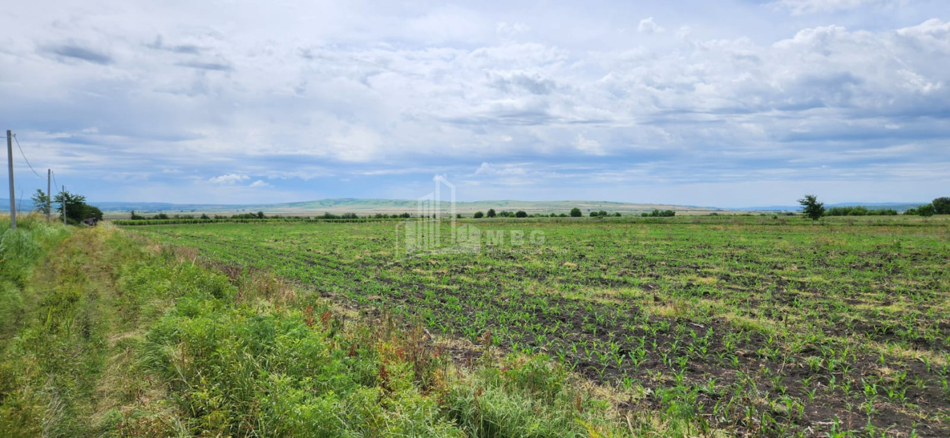 For Sale Land Badiauri Sagarejo Kakheti